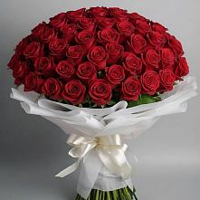 Букет 101 Красная роза Блэк Мэджик в Котельниково