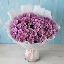 Букет цветов из:  Хризантемы #REPLACE_PRED# Котельниково