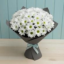 Букет цветов из:  Хризантемы #REPLACE_PRED# Котельниково