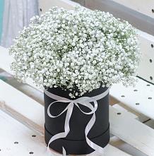 Цветочная композиция из Гипсофила в шляпной коробке в Котельниково