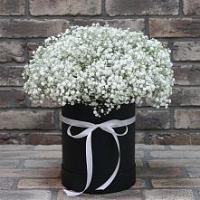 Цветочная композиция из Гипсофила в шляпной коробке #REPLACE_PRED# Котельниково