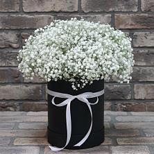Цветочная композиция из Гипсофила в шляпной коробке в Котельниково
