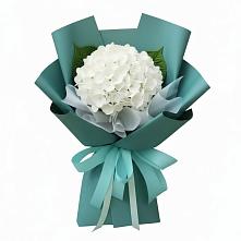 Букет цветов из:  Гортензия в Котельниково